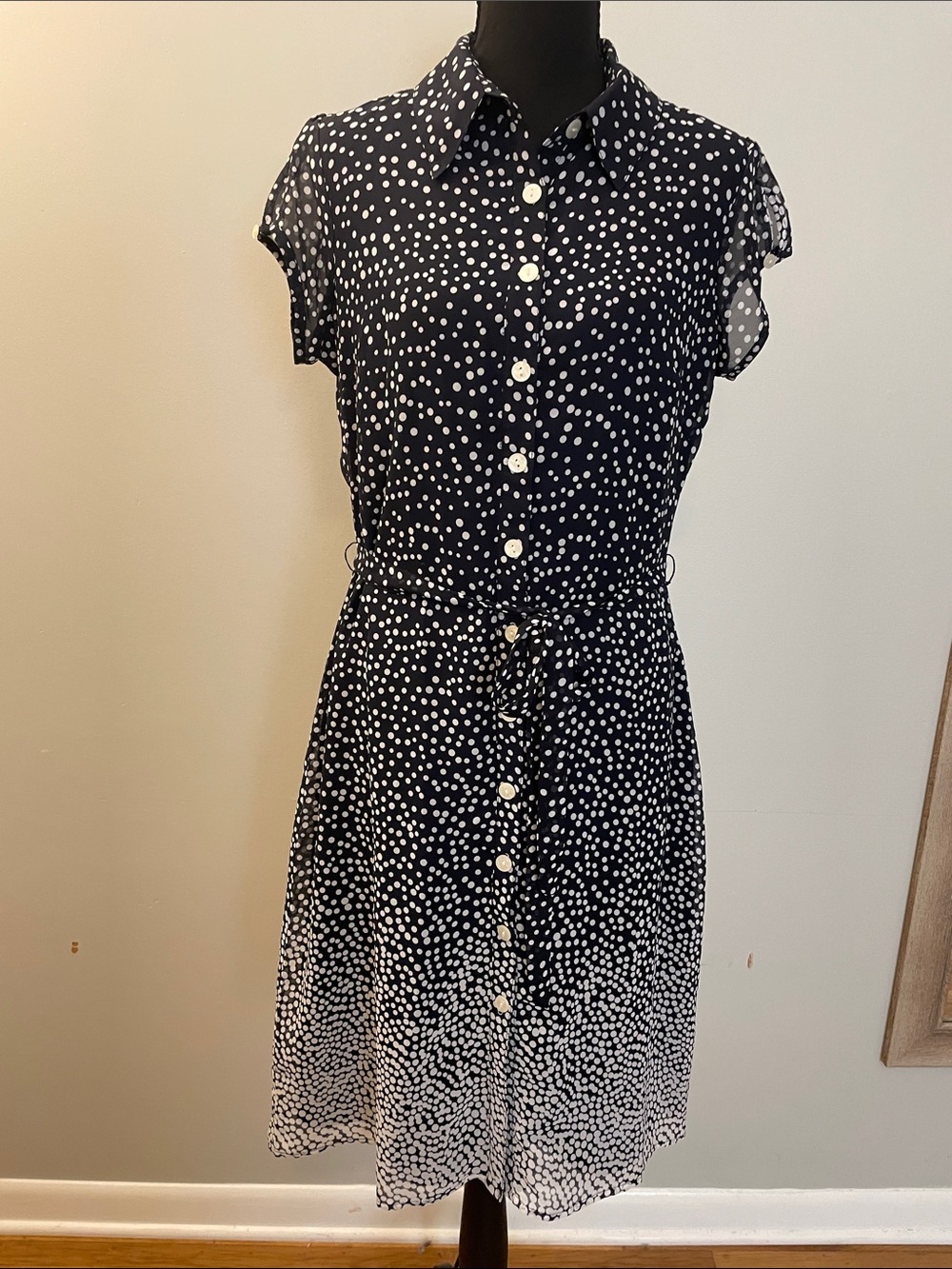 Navy and White Polka Dot Button-Front Dress